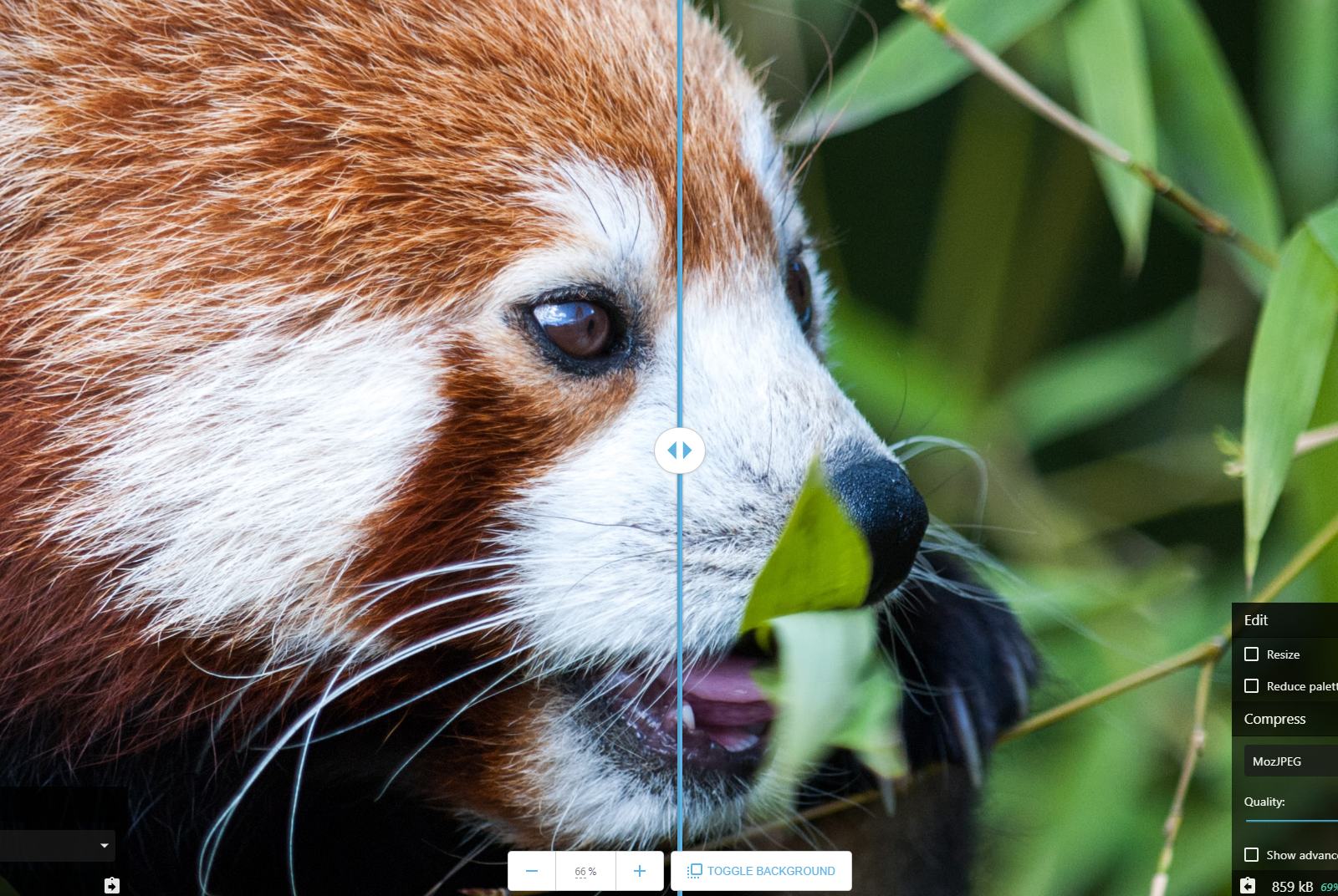 Squoosh web app image compression