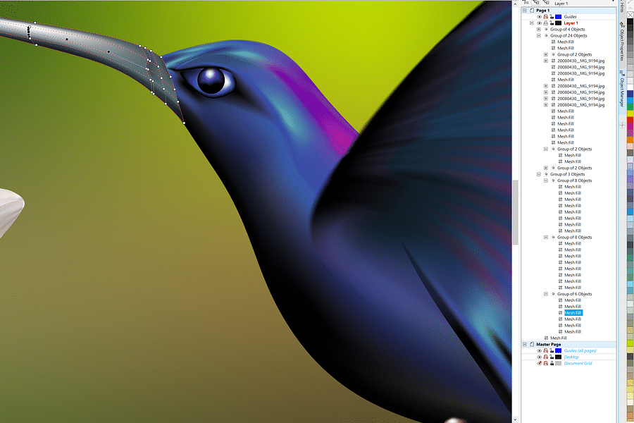 CorelDRAW graphics suite