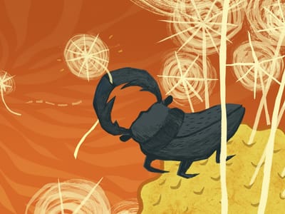 Dive into our Library: Finding and Using Free SVG Files