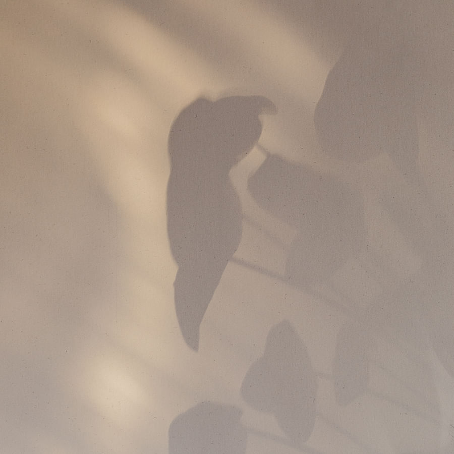 UX design interface showcasing SVG elements